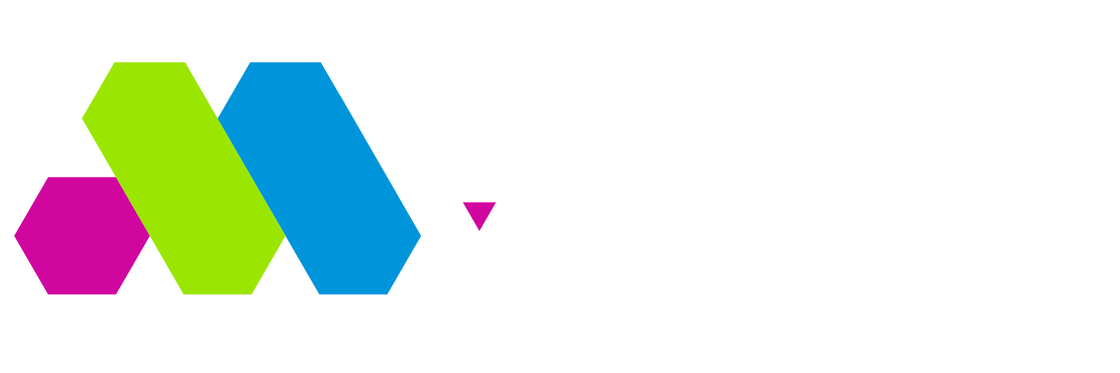 iml-logo-light
